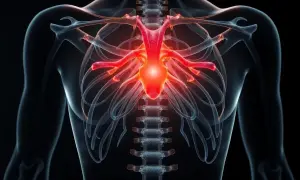 Bröstkorgens ben och ryggradens kotor lyser rött, vilket indikerar smärta eller inflammation i bröstkorgen.