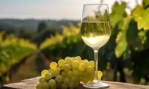 Un bicchiere di vino bianco, forse un Pecorino, accanto a un grappolo d'uva su un tavolo di legno, con un vigneto sullo sfondo.