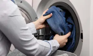 Hände legen Jeans in die Waschmaschine. Das passende Jeans waschen Programm wird ausgewählt.