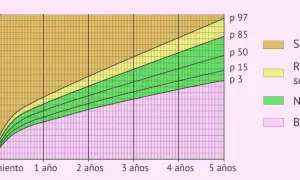 Gráfica de peso por edad para un bebé, mostrando percentiles. Las zonas indican bajo peso, peso normal, riesgo de sobrepeso y sobrepeso.