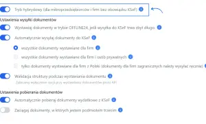Ustawienia wysyłki dokumentów: tryb hybrydowy, automatyczne wysyłanie do KSeF, walidacja struktury. Co to jest KSeF? To Krajowy System e-Faktur.