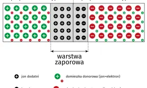 Schemat budowy diody prostowniczej: półprzewodnik typu N z jonami dodatnimi i domieszką donorową, półprzewodnik typu P z jonami ujemnymi i domieszką akceptorową, oraz warstwa zaporowa.