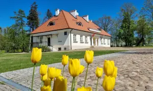 Łosice Dolnośląskie: Co warto zobaczyć i zwiedzić w Łosicach?