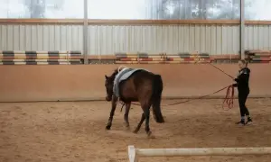 Trenerka pracuje z koniem na ujeżdżalni, ćwicząc jego **chody konia**. Widać kurz unoszący się spod kopyt.