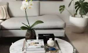 En vit orkidé, böcker och dekorativa föremål stylar soffbordet i en modern inredning.