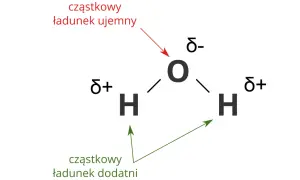 Ile atomów ma cząsteczka wody i dlaczego to ważne w chemii?