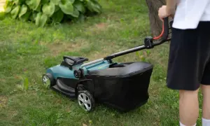 Jaką kosiarkę kupić? Przewodnik eksperta, by nie żałować!
