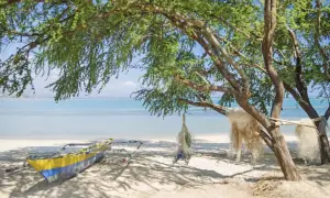 Łódź rybacka i sieci pod drzewem na plaży. Filipiny ciekawostki: takie widoki czekają na Ciebie!