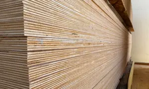Una pila de maderas blancas, con sus finas capas visibles, listas para ser transformadas en muebles o estructuras.