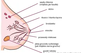 Masaż piersi: jędrność, zdrowie, samobadanie. Czy znasz wszystkie korzyści?