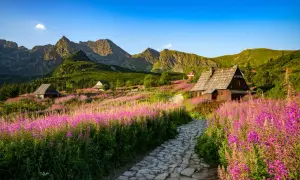 Ein Pfad führt durch blühende Wiesen zu Holzhäusern in den Hohen Tatra Polen. Majestätische Berge im Hintergrund.