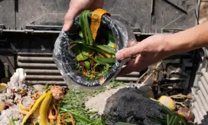 Resztki warzyw i owoców, takie jak skórki banana, cytryny i marchewki, to świetny materiał, z czego zrobić kompostownik.