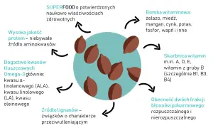 Siemię lniane dla psa – jak wspiera zdrowie i samopoczucie pupila