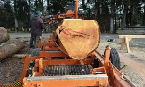 Pracownik w ochronnym stroju przygotowuje się do cięcia drewna na deski na mobilnej pile.