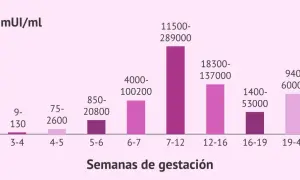 Gráfico de barras muestra niveles de beta hcg en mUI/ml por semanas de gestación.