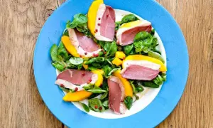 Salade de magret de canard : maîtrisez les recettes & astuces d'expert