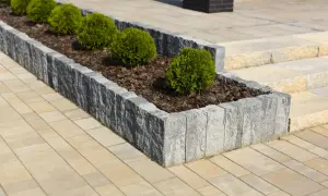 Starannie wykonane układanie palisady betonowej tworzy elegancką rabatę z bukszpanami na tle jasnej kostki brukowej.
