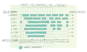 Diagrammet visar hur mycket ska en 3-åring sova, cirka 15 timmar. Sömnbehovet minskar med åldern.