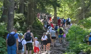 Tłum turystów wędruje kamienistym szlakiem przez las. Wszyscy mają plecaki, gotowi na zdobycie Trzech Koron. Czas wejścia na szczyt jest bliski.