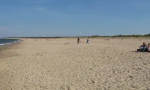 Szeroka, piaszczysta plaża Stogi z kilkoma osobami spacerującymi i odpoczywającymi. W tle widać morze i las.