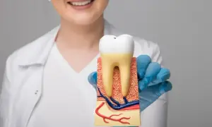 Dentysta prezentuje model zęba, pokazując jego budowę. To szybki sposób na ból zęba, gdy znamy przyczynę.
