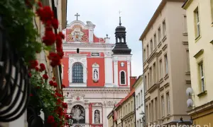 Czerwone kwiaty na balkonie, w tle barokowa fara w Poznaniu.