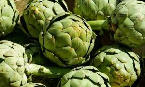 Un montón de alcachofas verdes frescas, listas para ser cocinadas y disfrutar de sus propiedades.
