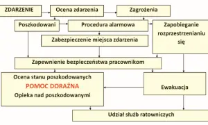 Kto może udzielić pierwszej pomocy? Twój obowiązek i ochrona prawna
