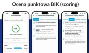 BIK co to? Poznaj klucz do zdolności kredytowej!