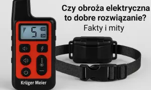 Pilot i obroża elektryczna Kruger Meier. Dowiedz się, jak działa obroża elektryczna i czy to dobre rozwiązanie.