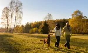 Para spaceruje z psem po jesiennej łące. To dobry przykład, jak często wyprowadzać szczeniaka na świeże powietrze.