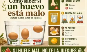 La clara de huevo en mal estado flota en agua. La imagen muestra cómo saber si un huevo está malo con pruebas de olor, agua y al abrirlo.