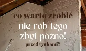 Tynki czy hydraulika? Ekspert radzi: uniknij kosztownych błędów!