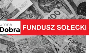 Fundusz Sołecki 2026: Co wolno, a czego nie? Poradnik