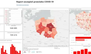 Raporty szczepień gov.pl: Zrozum dane, poznaj trendy i uniknij pułapek