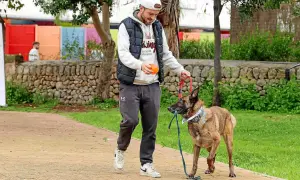 Mann mit Hund im Park. Der Hund hält die Leine im Maul, bereit für ein Spiel. Ein schöner Tag für ca. de bestiar.