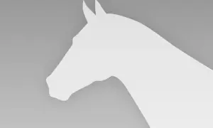 Profil głowy konia, elegancka niemiecka rasa konia, na szarym tle.