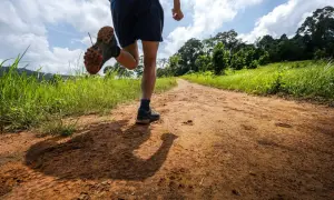 Un coureur sur un sentier de terre, profitant d'un entraînement de renforcement musculaire trail dans un paysage verdoyant.
