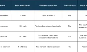 Tableau comparatif des procédures pour la gestion des impayés : procédure simplifiée, injonction de payer, référé provision, assignation en paiement.