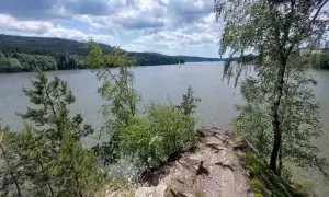 Felsiger Uferrand am Moldau Stausee mit Bäumen und Segelbooten auf dem glitzernden Wasser unter bewölktem Himmel.