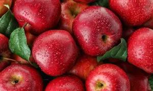 Soczyste, czerwone jabłka pokryte kroplami wody. To naturalne źródło węglowodanów, idealne na zdrową przekąskę.