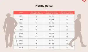 Tabela norm pulsu dla różnych grup wiekowych. Pokazuje tętno spoczynkowe, treningowe i maksymalne.