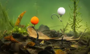 Zwei Pop-Up-Montagen mit orangefarbenen und weißen Kugeln, bereit für den Fang im Unterwasser-Dschungel.