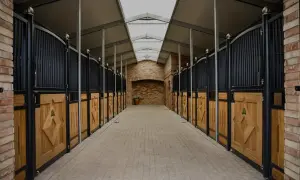 Nowoczesne boksy dla koni z drewnianymi drzwiczkami i metalowymi kratami. Idealne miejsce do stworzenia komfortowego boksu dla konia.