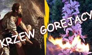 Krzak gorejący frazeologizm – znaczenie i biblijne konteksty