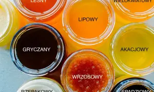 Różne rodzaje miodu w słoiczkach: leśny, lipowy, wielokwiatowy, gryczany, akacjowy, wrzosowy, rzepakowy, spadziowy.