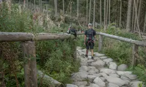 Kamienista ścieżka prowadzi przez las, a turyści idą w kierunku wejścia na Morskie Oko.