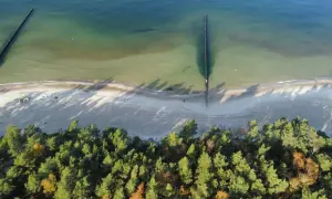 Widok z lotu ptaka na sosnowy las przylegający do piaszczystej plaży i spokojnego morza. Idealne miejsce na relaks w uzdrowiskach nad morzem.