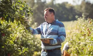 Rolnik w sadzie jabłoniowym z tabletem, zastanawia się, czy praca na roli wlicza się do kapitału początkowego.