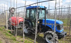 Niebieski traktor z opryskiwaczem w sadzie, przygotowany do zabiegu środkiem ochrony roślin, np. acetamiprydem, chroniącym młode drzewka.